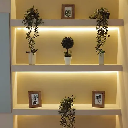 Zona Optimizma & Oda ve Kahvaltı Vrsac