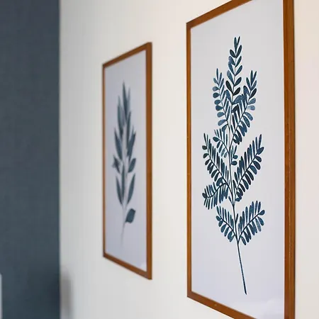 Oda ve Kahvaltı Zona Optimizma &