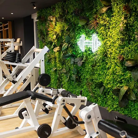 Zona Optimizma & Vrsac