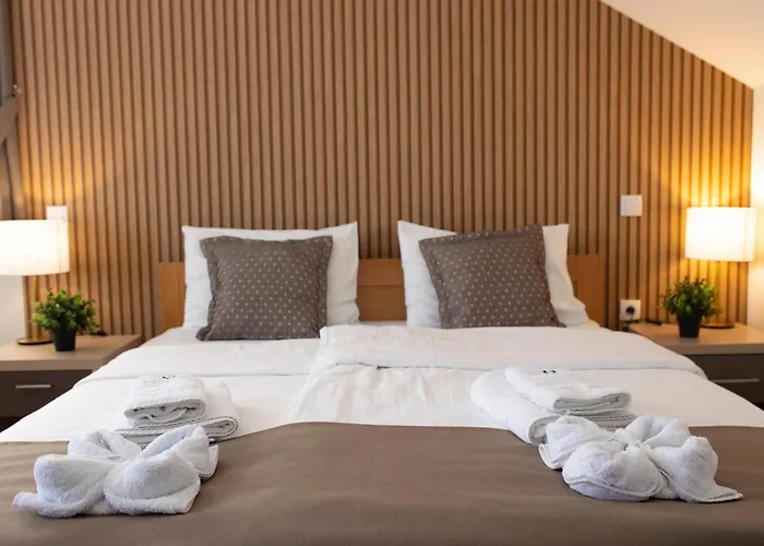 Zona Optimizma & Vârşeţ