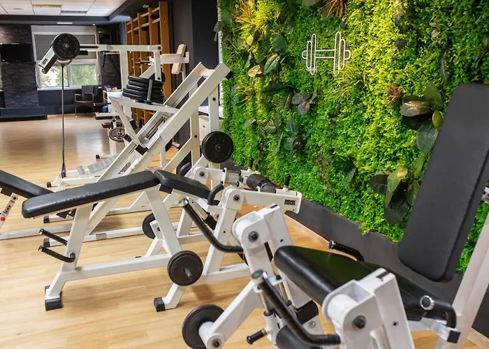 Zona Optimizma & 4* Vârşeţ