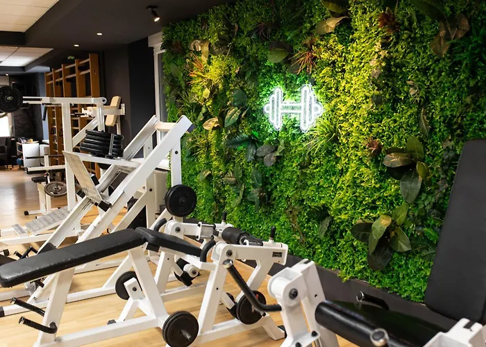 Zona Optimizma & Vârşeţ